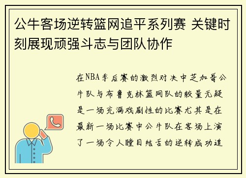 公牛客场逆转篮网追平系列赛 关键时刻展现顽强斗志与团队协作