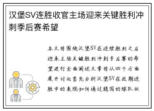 汉堡SV连胜收官主场迎来关键胜利冲刺季后赛希望